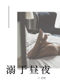 溺于昼夜（NP）